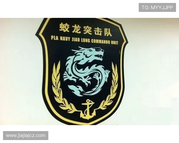 V5战队战术表现数据分析揭示其成功秘诀与未来发展方向